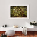 DIY Full Round Drill Diamond Drawing Tree Forest Landscape Painting Kit Newly