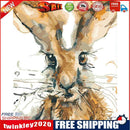 Painting By Numbers Kit DIY Rabbit Hand Painted Canvas Oil Art Picture Gift