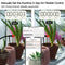 WiFi Smart Watering Machine Automatic Micro-drip Irrigation System N2K8