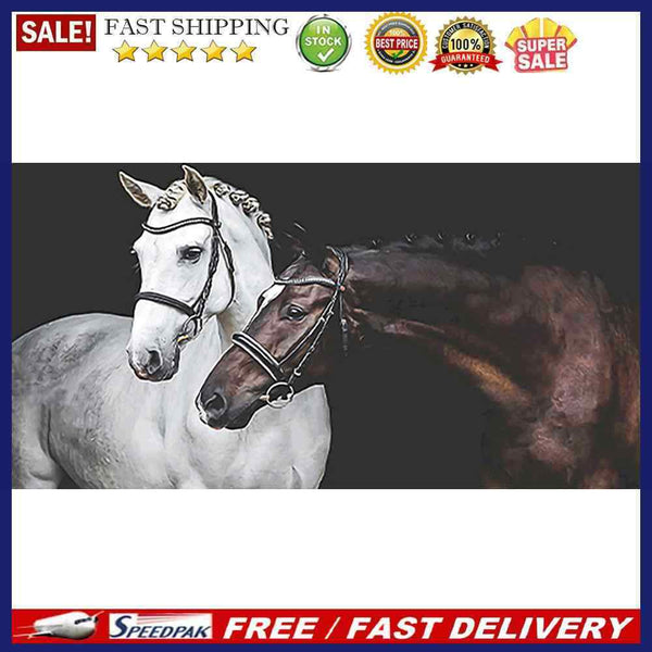 Two Horses Oil Paint By Numbers Kits DIY Handpainted on Canvas Gift Unframed
