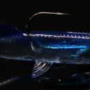 Fishing Soft Lures 8cm Wobbler Lead Head Hook Bait Jigging Bass Fishing Tackles