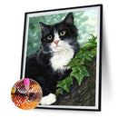 DIY Diamond Painting Kits Kitten Full Round Drill Wall Art Craft Home Decor