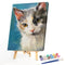 Frameless Oil Paint By Numbers DIY Cat Picture Craft Kit for Home Living Room