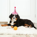 Pet Birthday Caps Headwear Hat Costume with Number Pets Accessories Supplies