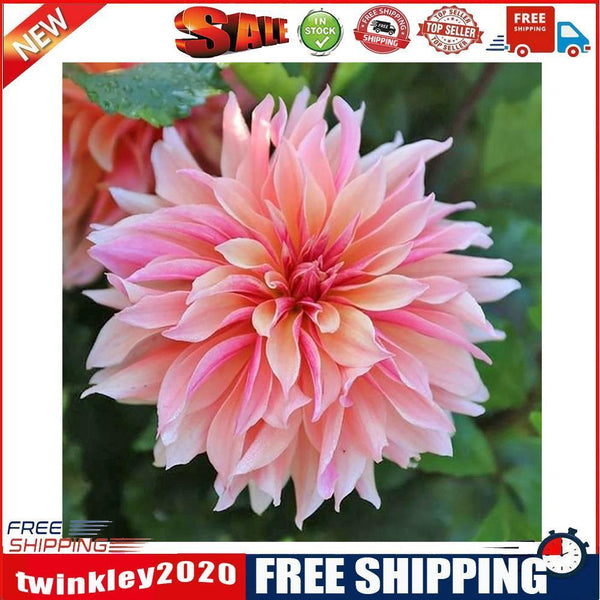 5D DIY Full Round Drill Diamond Painting Pink Flower Mosaic Rhinestone Draw