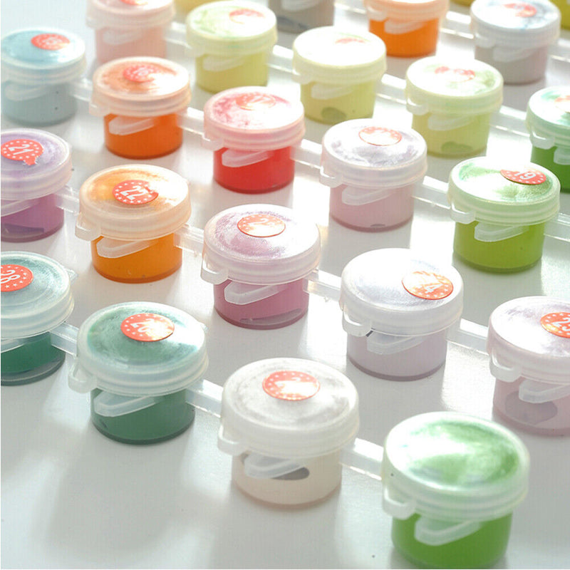 DIY Acrylic Paint by Numbers Beautiful Flower Coloring Drawing Gift Home Deco