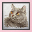 Partial Embroidery Stamped Cat DIY Cross Stitch Kits 11CT Needlework Sets Gift