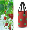 Felt Grow Bags Display Pockets DIY Hanging Strawberry Plant Bag (Red) Newly