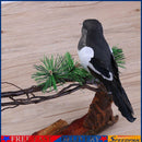 Artificial Magpie Foam Bird Props DIY Party Crafts Ornament Home Decorative