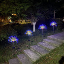 LED Solar Firework Lights Outdoor Dandelion Fairy String Lamp (Multicolor) Newly