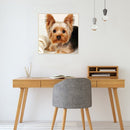5D DIYDog Full Square Drill Mosaic Diamond Painting Animal Picture Rhinestone