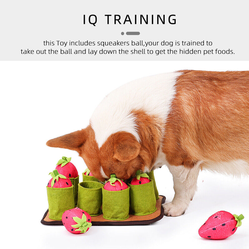 Interactive IQ Dog Cat Snuffle Mat Puzzle Seek Food Feeder Chew Educational