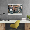 5D DIY Smile Donkey Full Round Drill Diamond Painting Art Embroidery Home Decor