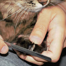 2*Dog Cat Puppy Pet Professional Nail Clipper Animal Nail Cutter Scissor S