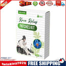12pcs Knee Pain Patch Wormwood Extract for Joint Ache Arthritis Rheumatoid