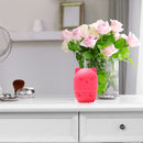 #A Silicone Egg Powder Storage Box Display Rack Sponge Box for Storage Organizer