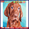 DIY Coded Acrylic Drawing Home Decor Dog Animal Pattern Oil Paint by Numbers