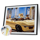 Hand Painted Drawing DIY Art Canvas Oil Kit Paint By Numbers Girl Driving Decor