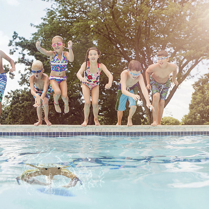 Floating Pool Thermometer Pool Accessories for Water Temperature (Crab)