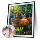 #A Woods Animal Oil Paint By Numbers Kit DIY Acrylic Painting on Canvas Framel