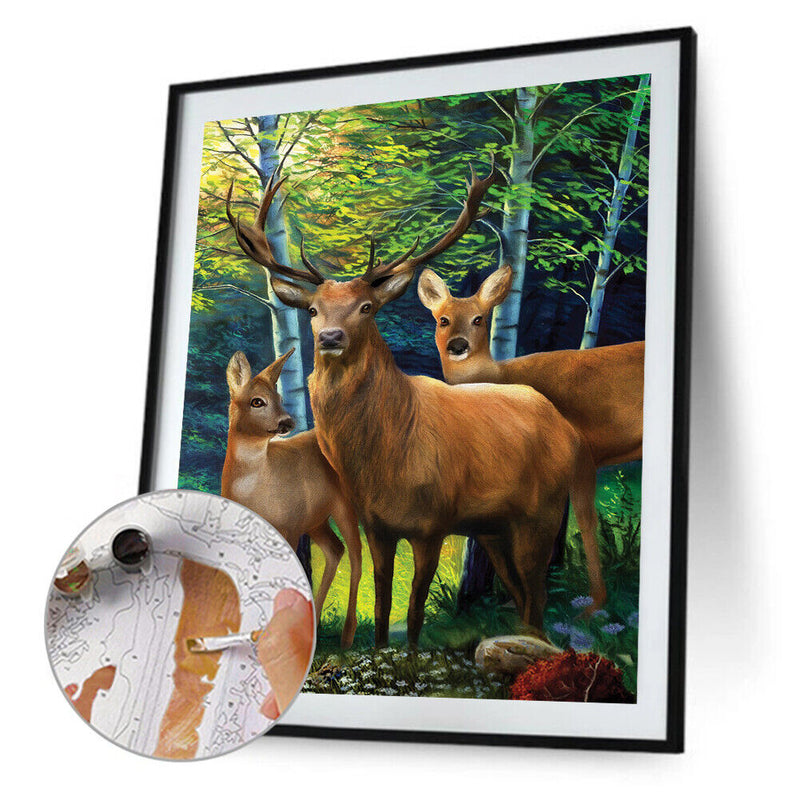 #A Woods Animal Oil Paint By Numbers Kit DIY Acrylic Painting on Canvas Framel