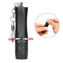 Mini LED EDC Flashlight Fishing Camping Portable Light Emergency Keyring Torch