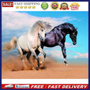 Painting By Numbers Kit DIY Fine Horse Hand Painted Canvas Oil Art Picture Craft