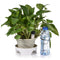 8PCS Self Casting Probes Indoor Automatic Irrigation System Houseplant Sp