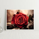 5D DIY Diamond Painting Red Rose Full Round Drill Mosaic Art Picture Rhinestone