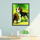 DIY Digital Oil Painting Dog and Baseball No Frame Picture By Number Home Craft