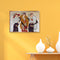 5D DIY Diamond Painting Noblewoman Special Shaped Drawing Kits Home Decor