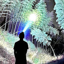 USB COB LED Working Light 4 Modes T6 400LM Outdoor Camping Zoom Torch Lamp Newly