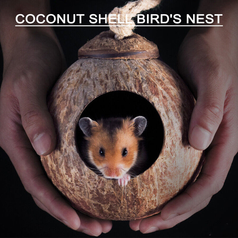 Bird Nest Squirrel Feeder Warm House with Hanging Ladder Parakeet Coconut Shell