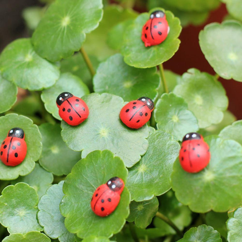 100x Mini Self Adhesive Wooden Ladybird Stick On Lady Craft Card Wood Bu hot.