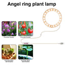 Angel Ring Plant Light Sunlight Phytolamp USB Nursery Lamp (One for One) Newly