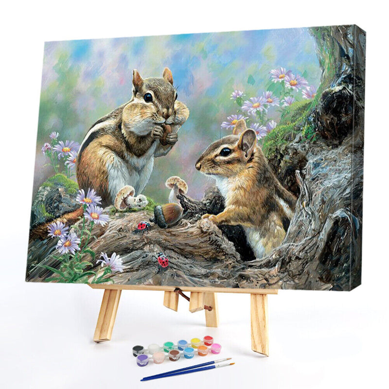 DIY Oil Paint by Numbers Hand Painted Squirrel Drawing Kit Coloring Picture