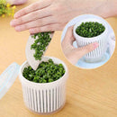 Sealing Box Food Drain Box Fresh Box Chopped Green Box Garlic S1J2 *1 Onion K6U7