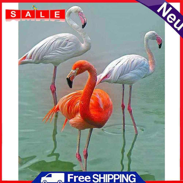 Canvas Painted Oil Paint By Numbers Pink Bird DIY Wall Art Modern Bedroom Decor