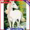 DIY Digital Oil Painting By Numbers Kits White Horse Picture Wall Art Decoration