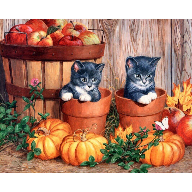 Black Cat and Pumpkin Oil Paint By Numbers Kit Frameless Drawing Picture