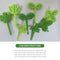 Dinnerware Cutlery Reusable Bud Fruit Fork Cake Scraper Four Leaf Clover