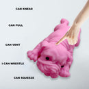 Simulation Soft Dogs Squeeze Ball Puzzle Anti Stress Artifact (Pink Dog) Newly