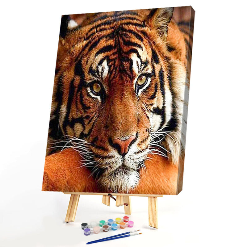 Painting By Numbers Kit DIY Quiet Tiger Hand Painted Canvas Oil Art Picture Gift