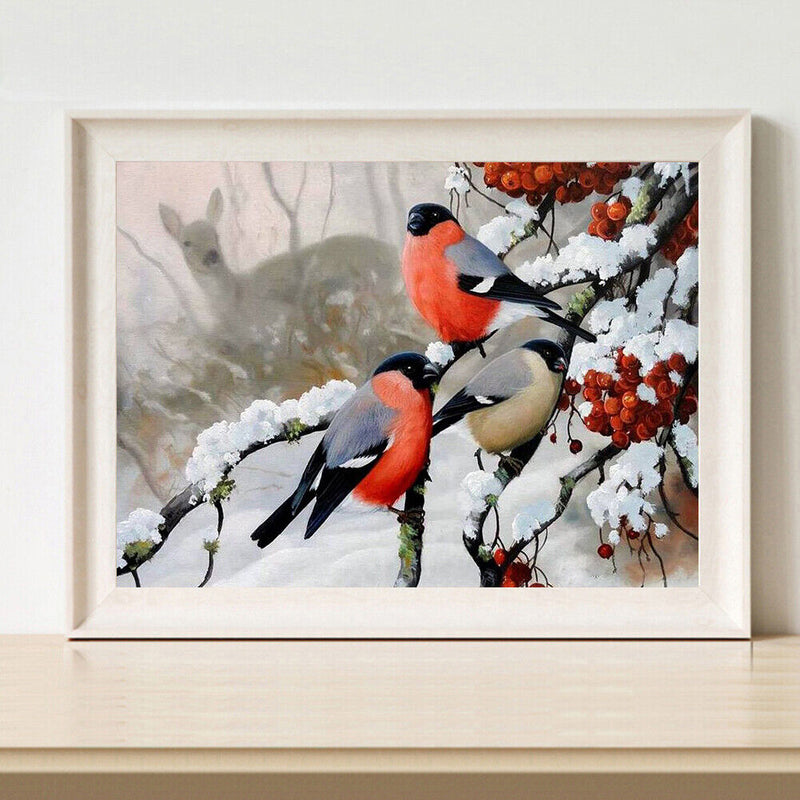 DIY Paint By Number Kit Snow Bird Animal Acrylic Paint Art Craft Decoration Gift