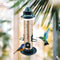 Bird Feeders - Hanging Feeder Squirrel Proof for Outside (Seed is not Inclu