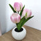 #A LED Flower Night Light Simulation Tulip Flowerpot Potted Plant Home Room Deco