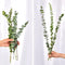10X Air-dried Flower Eucalyptus Stems Branches Leaves DIY Bouquet Home X8G3 Y8O1