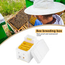 Beehive Pollination King Bees Hive Box Beekeeping Case Beekeeper Supplies Newly