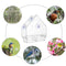Window House Bird Feeder, Suction Cup Hang Birdhouse for Outside, Garden, Y