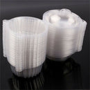 Disposable Cases Set Reusable Muffin Cup Cake Holders Boxes Plastic Cupcake